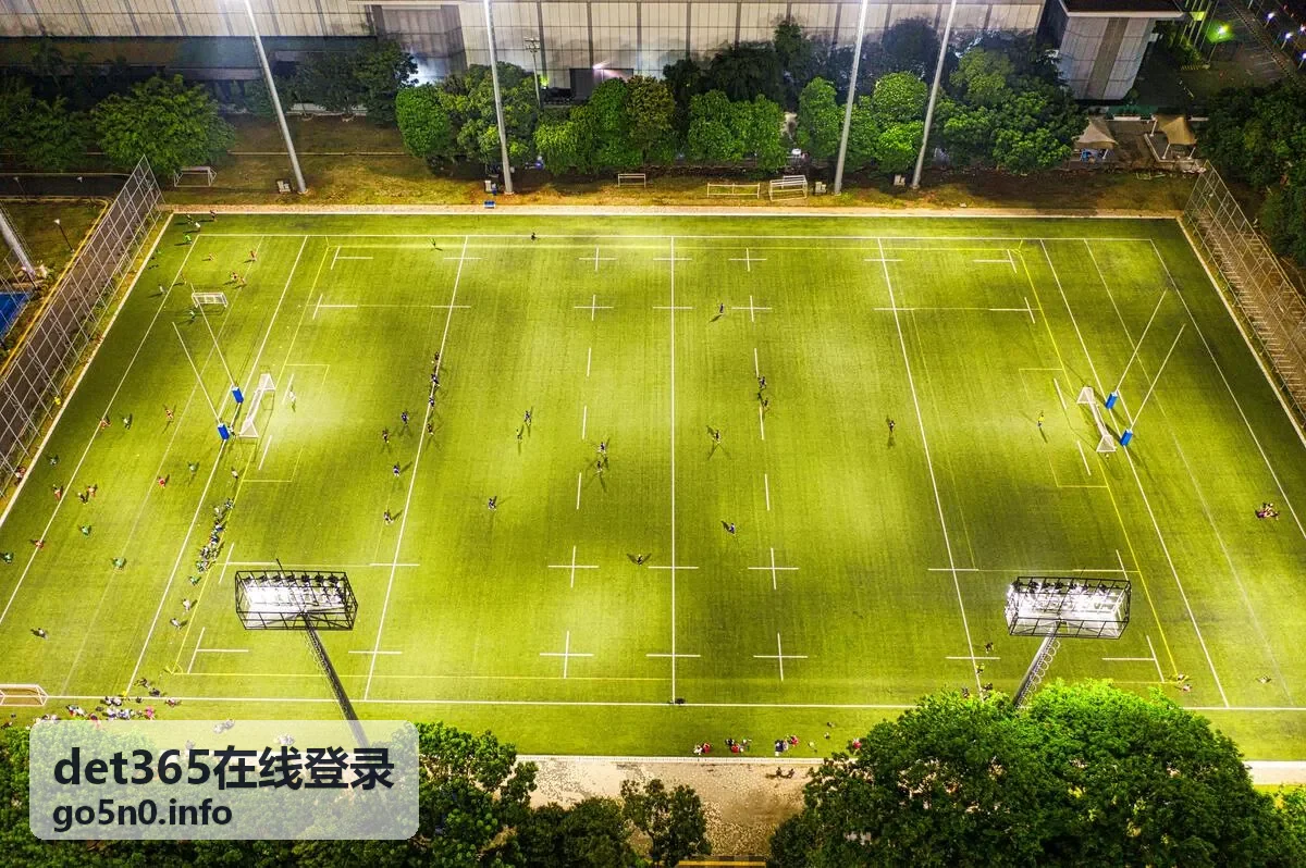 det365在线登录 登录流程指南示意图